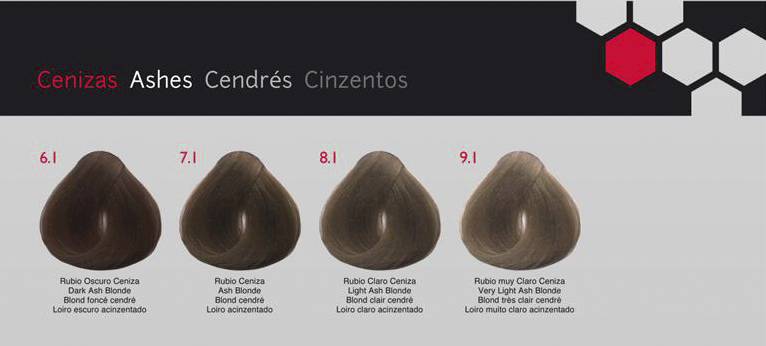 CHROMA COLORACIÓN COSMÉTICA EN CREMA - Bello Cabello