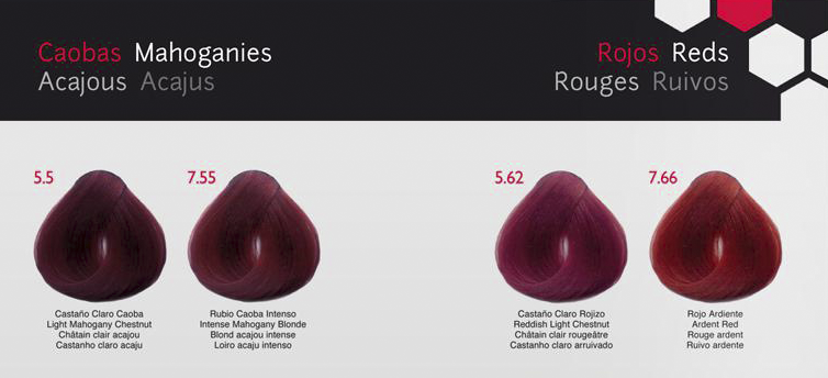 CHROMA COLORACIÓN COSMÉTICA EN CREMA - Bello Cabello