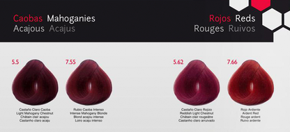 CHROMA COLORACIÓN COSMÉTICA EN CREMA - Bello Cabello