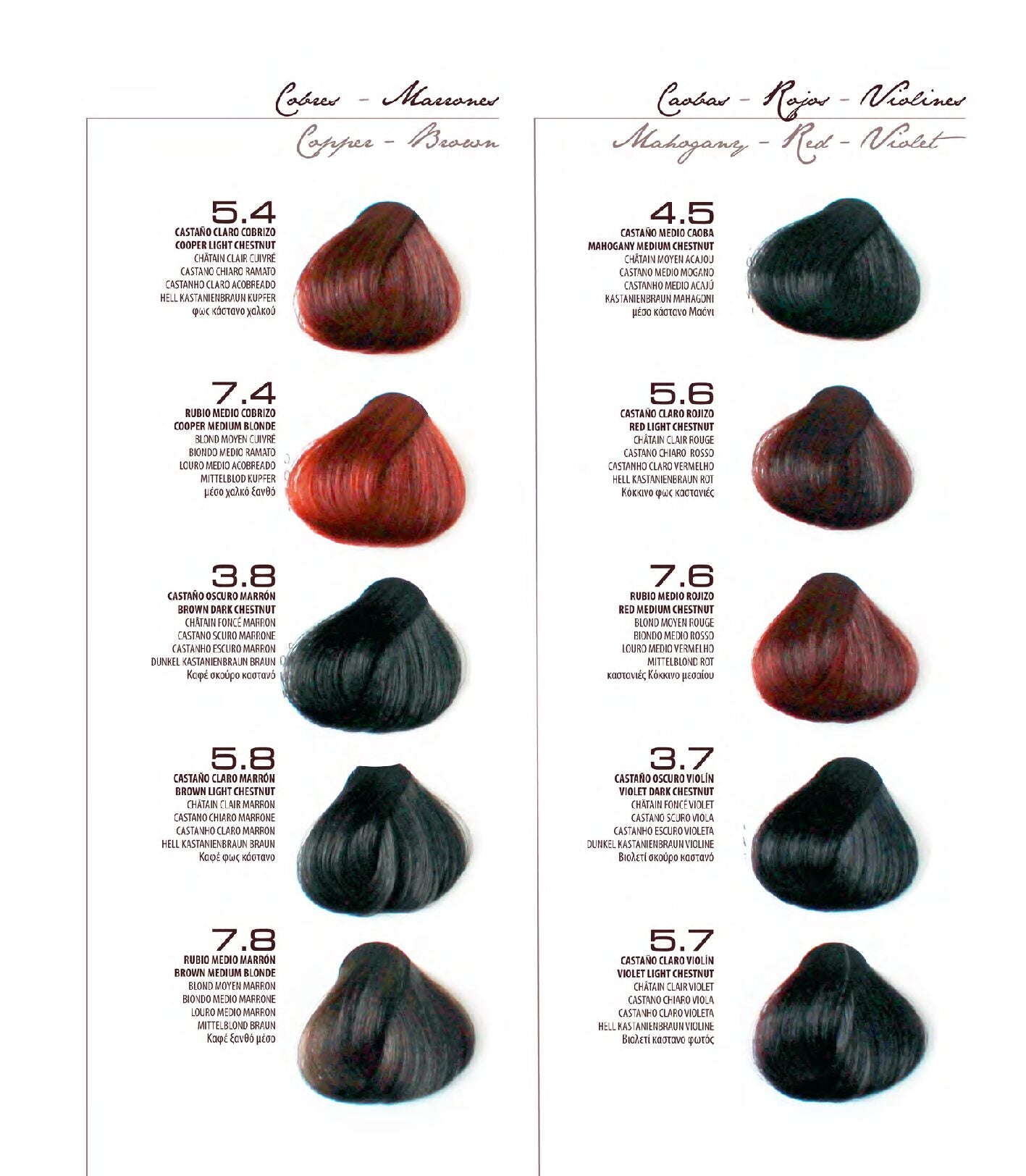 Tinte de pelo sin amoníaco Violett Premium - Bello Cabello