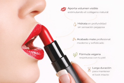 Lipstick Barra de Labios
